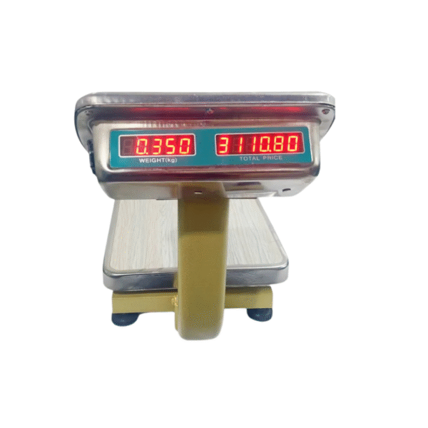 DWS-60 Digital Weight Machine – 60KG Capacity, 12x12” Stainless Steel Platform