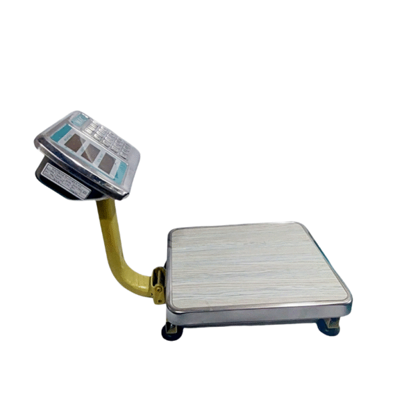DWS-60 Digital Weight Machine – 60KG Capacity, 12x12” Stainless Steel Platform