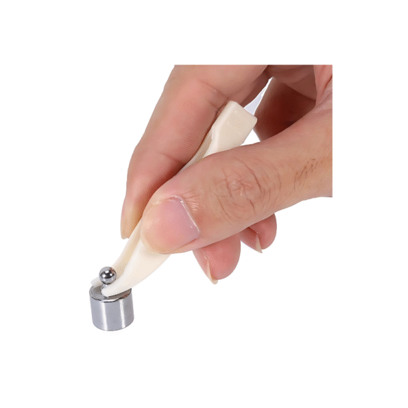 17Pcs Precision Calibration Weight Set (10mg–100g) with Storage Case & Tweezer